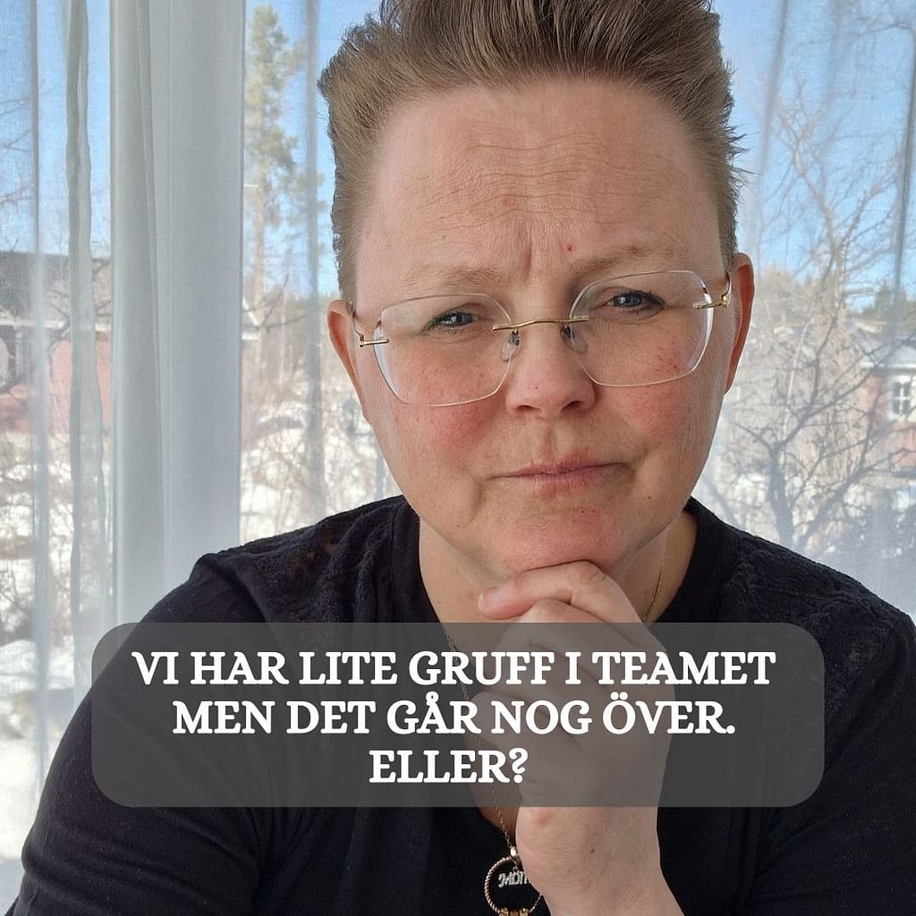 Vi har lite problem och tjafs i arbetsgruppen men det går nog över. Eller?
